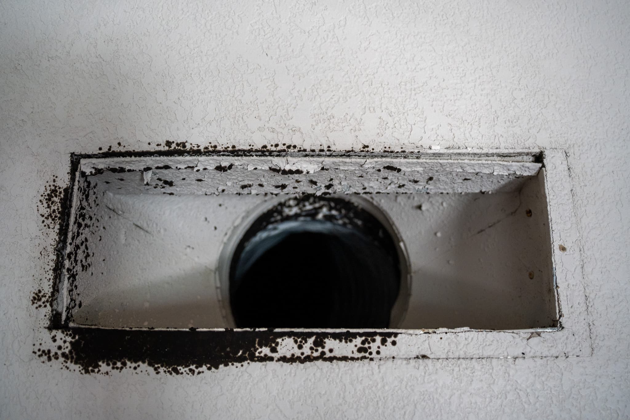 Mold behind a return vent — before cleaning